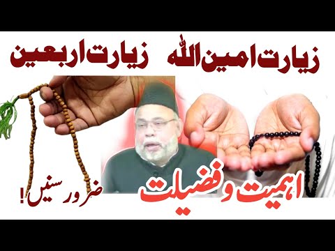 Ziyarat AmeenUllah aur Ziyarat Arbaeen ki Ehmiat o fazilat | Maulana Sadiq Hassan