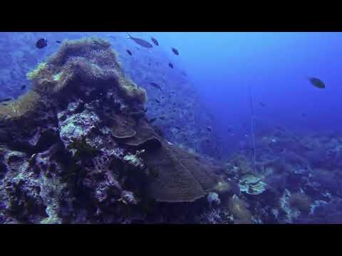 Wondering in Southwest Pinnacle