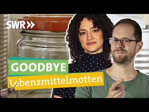 Lebensmittelmotten erfolgreich bekämpfen und vorbeugen | Ökochecker SWR