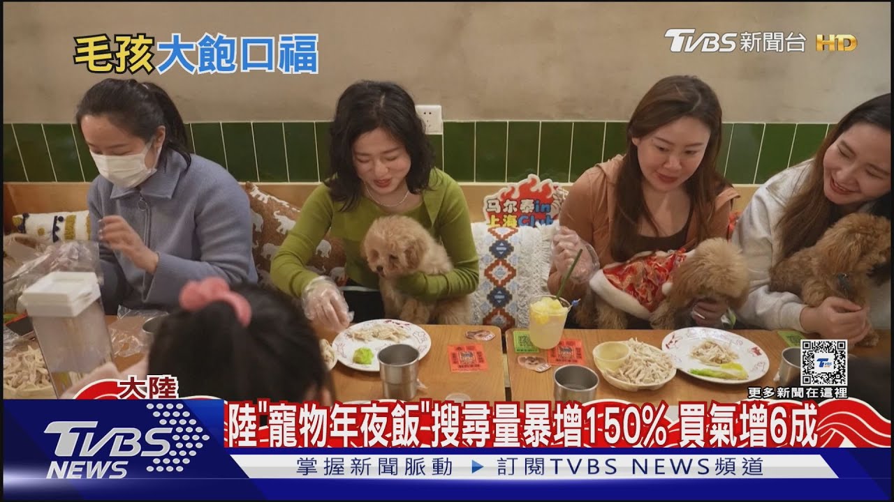佛跳牆、鮑魚、牛排 陸寵物年夜飯吃得比人好