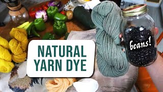 Natural dye tutorial- Black bean blue green! - dyeing wool with food & iron mordant | LML