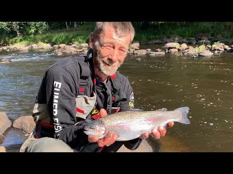 Kesäkalastus Merikarvianjoella - Kirjolohenkalastus - Perhokalastus - Heittokalastus - Koskikalastus