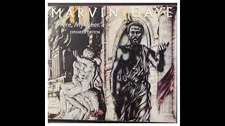 Marvin Gaye - A Funky Space Reincarnation