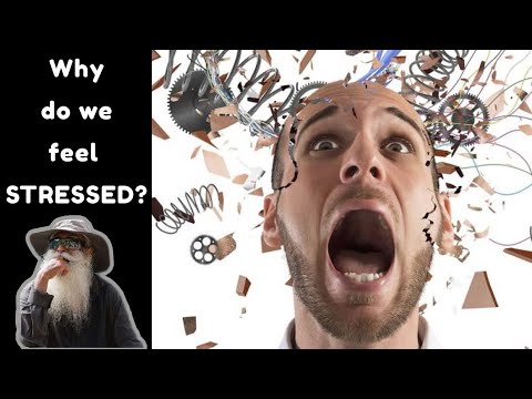 Why STRESS? - Sadhguru at IIM BANGALORE!