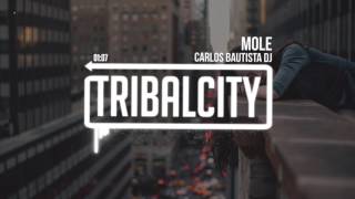 Carlos Bautista DJ - Mole