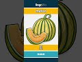 melon - 瓜 video thumbnail