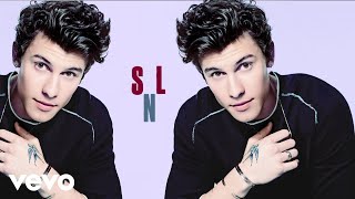 Shawn Mendes - If I Can&#39;t Have You (Live On Saturday Night Live)