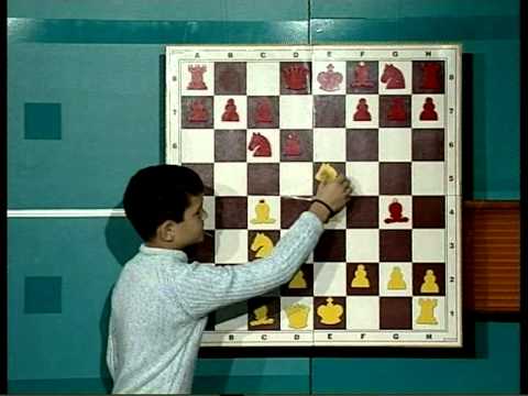 Emisiunea 21 arhiva: Gafe in deschidere