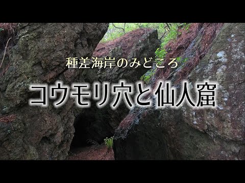 みちのく潮風トレイル「コウモリ穴と仙人窟」