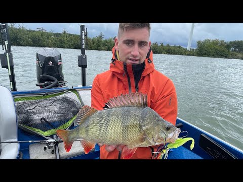 Angeln auf Barsch,Hecht und Zander- Alexander Kalweit