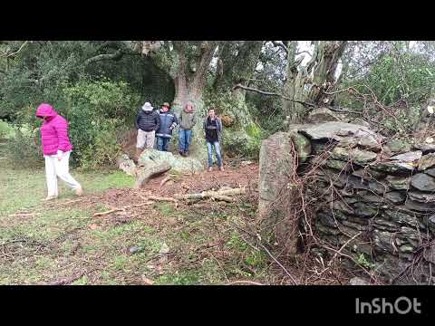Recorrida Amigos del Patrimonio Cerro Largo y Treinta y Tres 2023