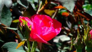 There Will Come A Day by Faith Hill