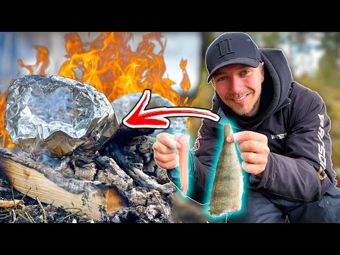 Aborre stegt over bål