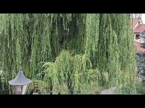 Un resort de 5 stele langa Brasov