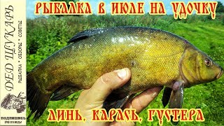 Рыбалка в июле на карася линя