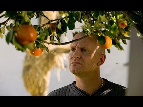 Naprawdę przywrócić potencję Stosowanie witamin dla potencji