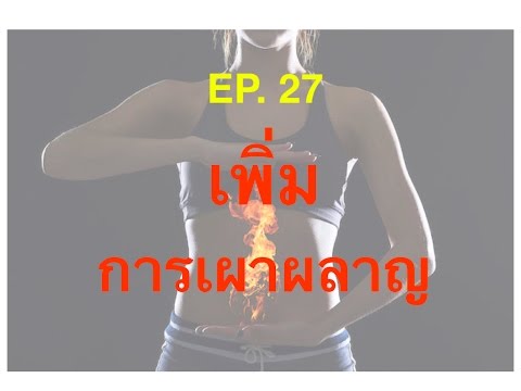 ไม่แรงไส้ติ่งอักเสบ เพิ่มสมาชิกสภาฟรี