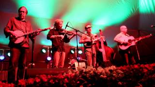 Psychograss @ The Old Settlers Festival 2012 HD