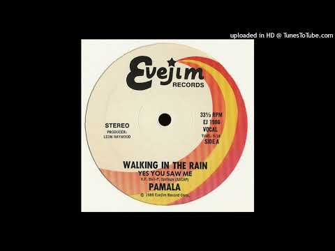 Pamala - Walking InThe Rain (Yes You Saw Me) 1986