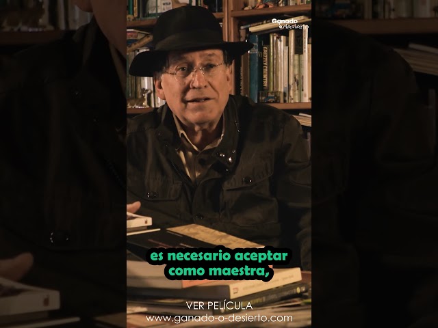 Vídeo relacionado con Pirineos
