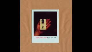 Pedro the Lion - Let Down