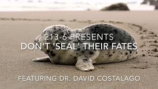 Don't 'seal' their fates