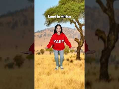 EP 28: How to run faster in 4 steps