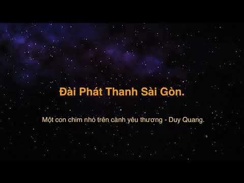 Con chim nhỏ trên cành yêu thương Sheet - Duy Quang