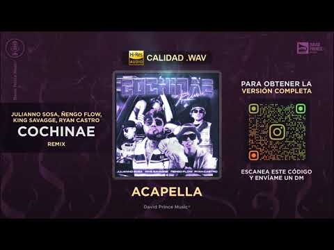 Julianno Sosa, Ñengo Flow, King Savagge, Ryan Castro - Cochinae REMIX 🎙️ ACAPELLA (By dpm)