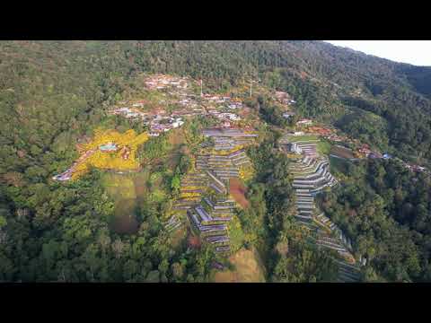 Doi Hua Mae Kham