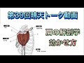 【第39回晴天トーク動画】肩の解剖学と効かせ方について!!