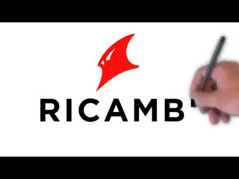 How Ricambi America Works
