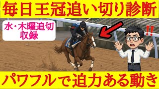 【毎日王冠2026】最終追い切り診断！1位評価はパワフルな脚捌きで豪快に駆け抜けたあの穴馬！