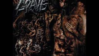 Grave - Bloodfeast
