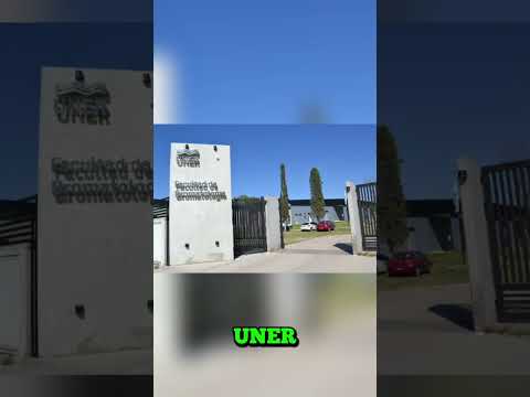 Gi gante Despierto Gualeguaychú #gualeguaychú#entre ríos#Argentina#frigorífico gualeguaychú#turismo