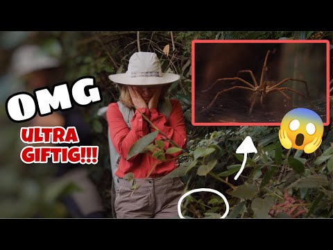 OMG everything is ultra TOXIC 😱🕷️ 8 hours in the tropical rainforest (!!) | Bibi