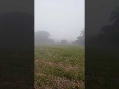 Chácara e Camping A Terrinha dia a dia na fronteira oeste  #agricultura #plantas #vidanocampo #sitio