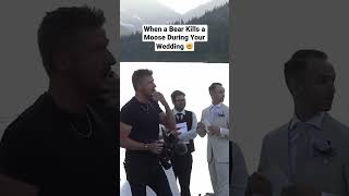 When a Bear Kills a Moose During Your Wedding 🤯  #natureismetal #weddings #nature #bearattack