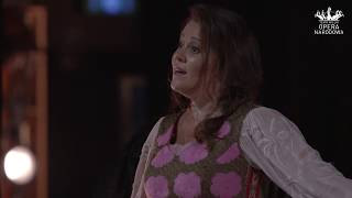 Miroslaw Przybylski video