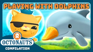@Octonauts -  🏐 Playing with Dolphins 🐬 | 2 Hours+ Compilation | National Dolphin Day