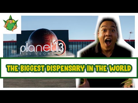 Filipino Cannabis Guy - Planet 13 Biggest Dispensary in the World