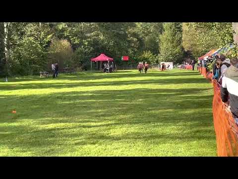 RENMOTOR JINOLICE - JL Benešov u Semil 2022