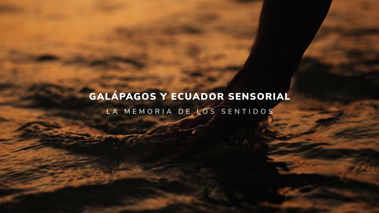 Galápagos y Ecuador Sensorial