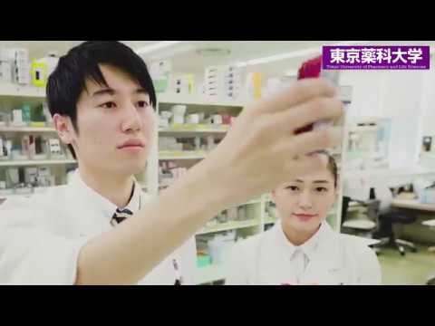 生命医科学科 東京薬科大学紹介ムービー　大学ver.