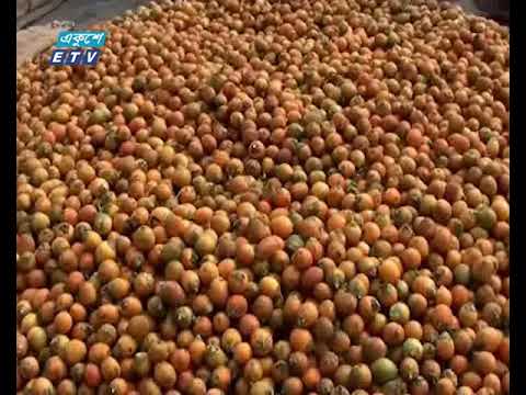 লক্ষ্মীপুরে সুপারির বাম্পার ফলন