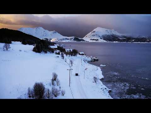 Life Beyond the Arctic Circle (4K Christmas Documentary)