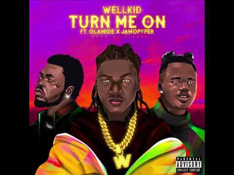 WellKid - Turn Me On (feat. Olamide & JamoPyper) (Official Audio)