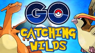 Pokemon GO: The Best Tips For Catching Wild Pokemon! | Pokémon GO Gameplay