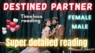 ⭐ Your destined partner 😍🧚 | Super detailed reading | Timeless reading #tarot #tarotreading #soni