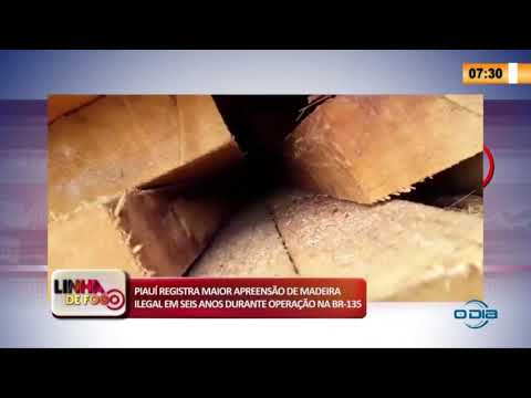 LINHA DE FOGO 2904 2020 PIAUí REGISTRA MAIOR APREENSíO DE MADEIRA ILEGAL EM OPERAÇíO NA BR-135